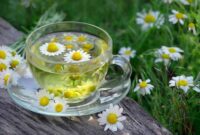 Tajuk: Losyen Malam Homemade dengan Lavender & Chamomile - Pemudahkan Tidur Anda Tanpa Masalah