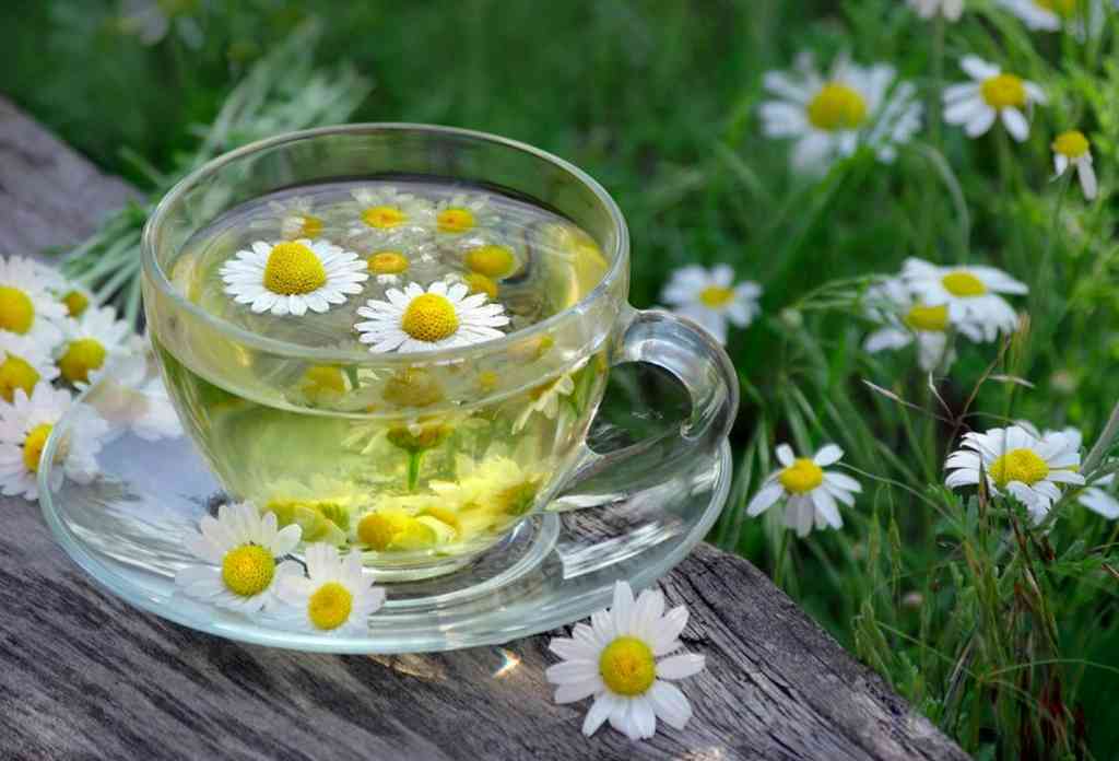 Tajuk: Losyen Malam Homemade dengan Lavender & Chamomile - Pemudahkan Tidur Anda Tanpa Masalah